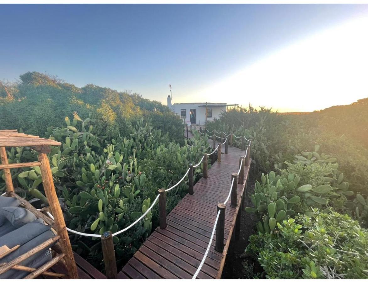 Ostrich Cottage At Les Wings Private Game Farm Groot-Jongensfontein Esterno foto